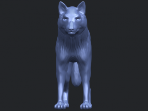 wolf Modèles 3D en vedette