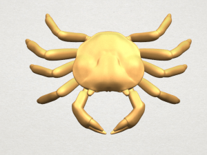 crab 3D Print Model