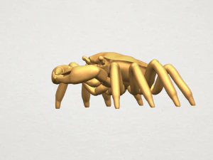 crab 3D Print Model