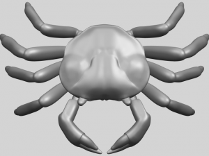 crab Modelo de Impressão 3D