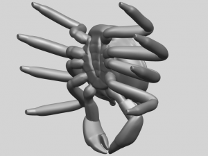 crab Modelo de Impressão 3D