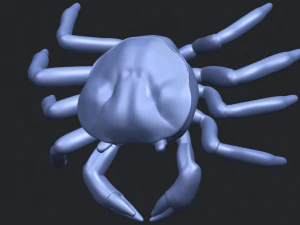crab 3D Print Model