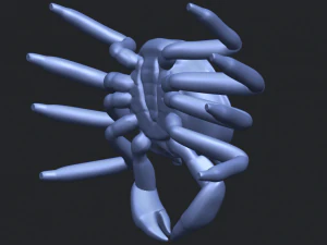 crab 3D Print Model