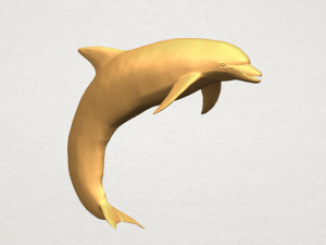 dolphin 03 3Dプリントモデル