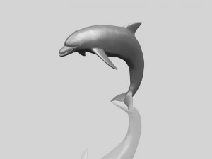 dolphin 03 3D Print Model