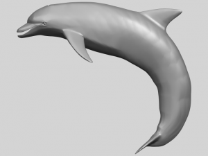 dolphin 03 3Dプリントモデル
