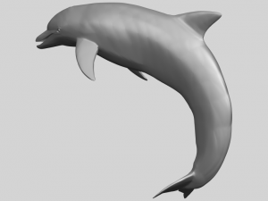 dolphin 03 3Dプリントモデル
