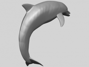 dolphin 03 3Dプリントモデル