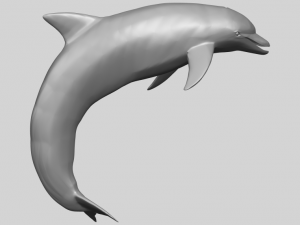 dolphin 03 3Dプリントモデル