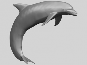 dolphin 03 3Dプリントモデル