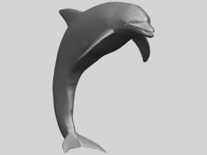 dolphin 03 3Dプリントモデル