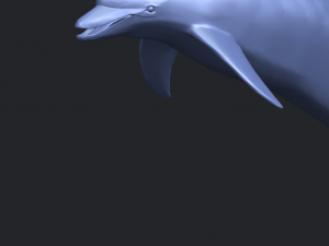 dolphin 03 3Dプリントモデル