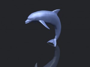 dolphin 03 3Dプリントモデル