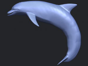 dolphin 03 3Dプリントモデル