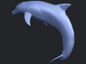 dolphin 03 3Dプリントモデル