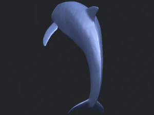 dolphin 03 3D Print Model
