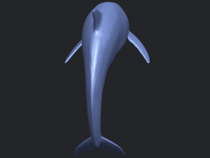 dolphin 03 3Dプリントモデル