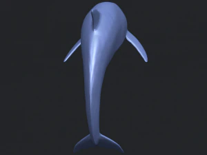 dolphin 03 3D Print Model