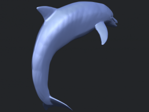 dolphin 03 3Dプリントモデル