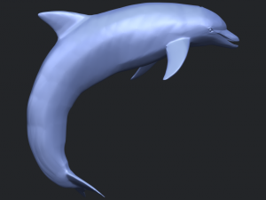 dolphin 03 3Dプリントモデル