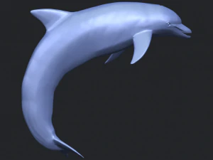 dolphin 03 3D Print Model