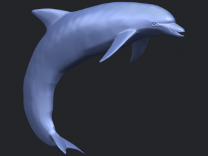 dolphin 03 3Dプリントモデル