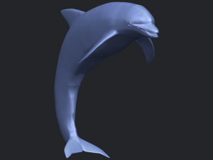 dolphin 03 3Dプリントモデル