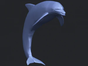 dolphin 03 3D Print Model