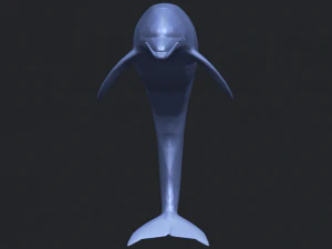 dolphin 03 3D Print Model