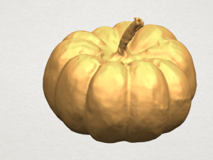 pumpkin 02 3Dプリントモデル