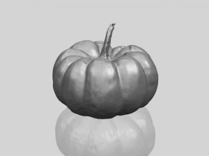 pumpkin 02 3D Print Model
