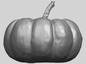 pumpkin 02 3Dプリントモデル