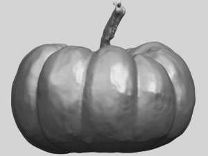 pumpkin 02 3Dプリントモデル