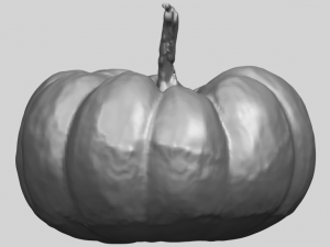pumpkin 02 3Dプリントモデル