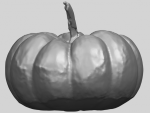 pumpkin 02 3Dプリントモデル