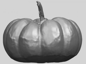 pumpkin 02 3D Print Model