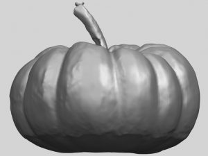 pumpkin 02 3Dプリントモデル