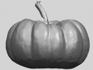 pumpkin 02 3Dプリントモデル