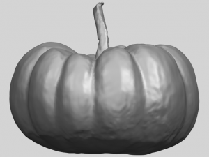 pumpkin 02 3Dプリントモデル