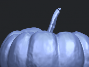 pumpkin 02 3Dプリントモデル