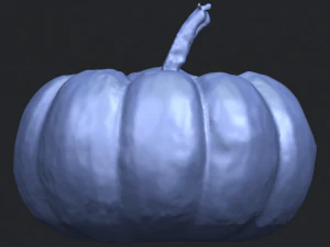 pumpkin 02 3D Print Model