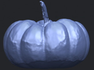 pumpkin 02 3Dプリントモデル