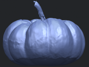 pumpkin 02 3Dプリントモデル