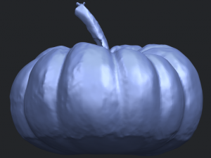 pumpkin 02 3Dプリントモデル