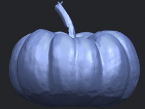 pumpkin 02 3Dプリントモデル