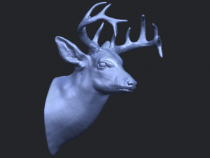 deer head 3Dプリントモデル