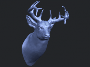 deer head 3Dプリントモデル