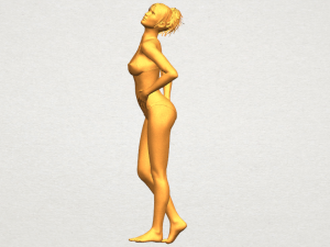 naked girl c05 3Dプリントモデル