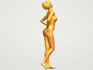 naked girl c05 3Dプリントモデル