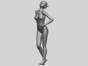 naked girl c05 3Dプリントモデル